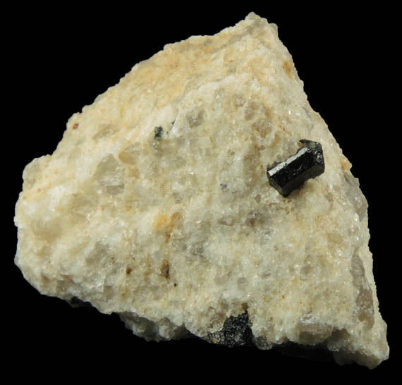 Almandine Garnet with Schorl Tourmaline from Pipeline excavation east side of Strickland Hill, Portland, Middlesex County, Connecticut