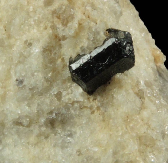 Almandine Garnet with Schorl Tourmaline from Pipeline excavation east side of Strickland Hill, Portland, Middlesex County, Connecticut