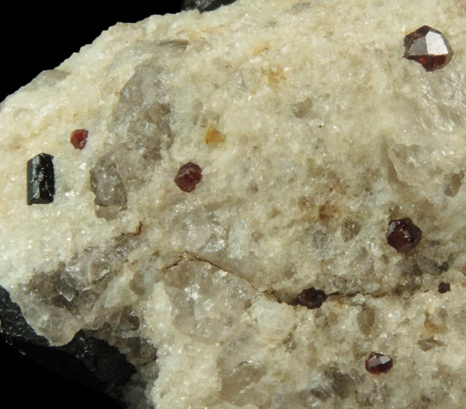 Almandine Garnet with Schorl Tourmaline from Pipeline excavation east side of Strickland Hill, Portland, Middlesex County, Connecticut