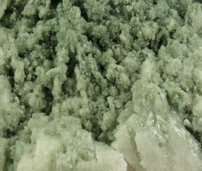 Apophyllite on Datolite pseudomorphs after Anhydrite from Millington Quarry, Bernards Township, Somerset County, New Jersey