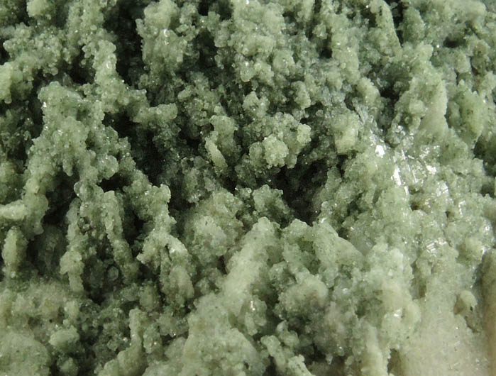 Apophyllite on Datolite pseudomorphs after Anhydrite from Millington Quarry, Bernards Township, Somerset County, New Jersey