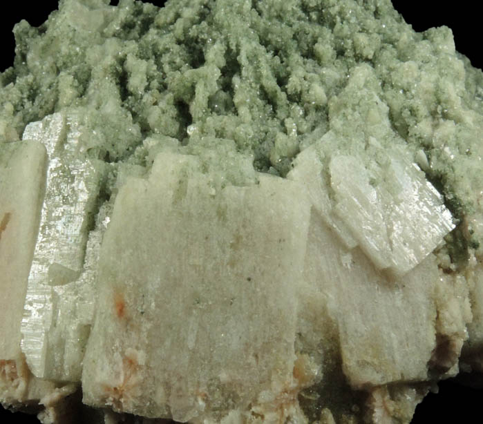 Apophyllite on Datolite pseudomorphs after Anhydrite from Millington Quarry, Bernards Township, Somerset County, New Jersey