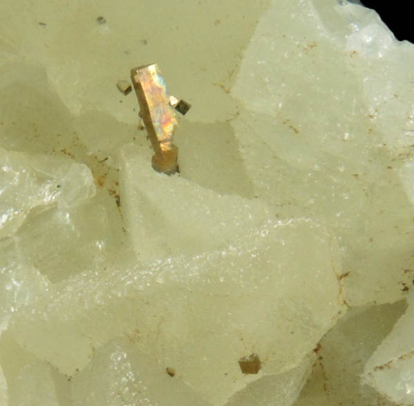 Pyrite on Datolite from Millington Quarry, Bernards Township, Somerset County, New Jersey