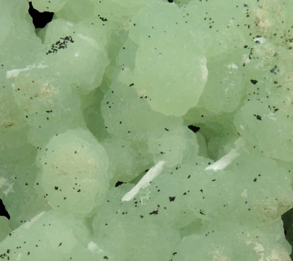 Prehnite pseudomorphs after Anhydrite with Laumontite from Upper New Street Quarry, Paterson, Passaic County, New Jersey