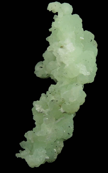 Prehnite pseudomorphs after Anhydrite with Laumontite from Upper New Street Quarry, Paterson, Passaic County, New Jersey