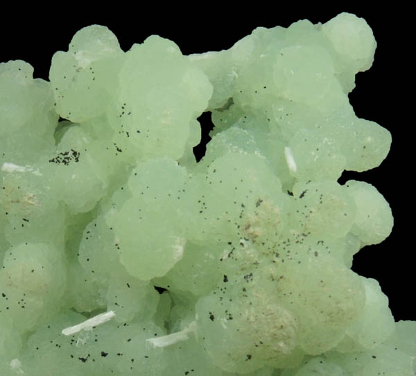 Prehnite pseudomorphs after Anhydrite with Laumontite from Upper New Street Quarry, Paterson, Passaic County, New Jersey