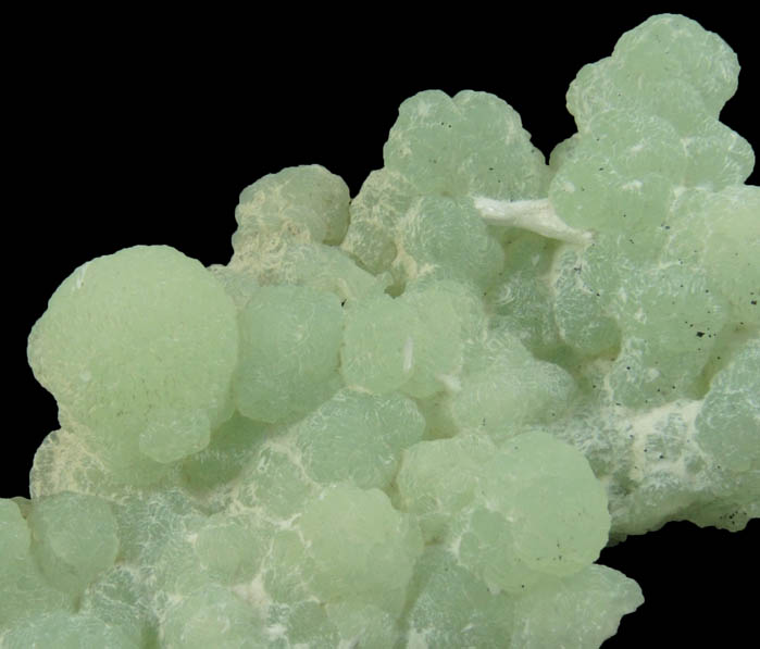 Prehnite pseudomorphs after Anhydrite with Laumontite from Upper New Street Quarry, Paterson, Passaic County, New Jersey