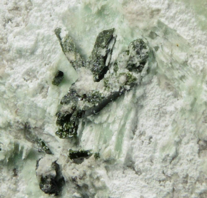 Volborthite on matrix from Milpillas Mine, Cuitaca, Sonora, Mexico