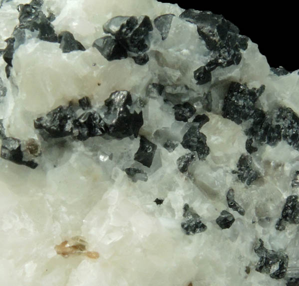 Spinel, Phlogopite in marble from Lime Crest Quarry (Limecrest), Sussex Mills, 4.5 km northwest of Sparta, Sussex County, New Jersey