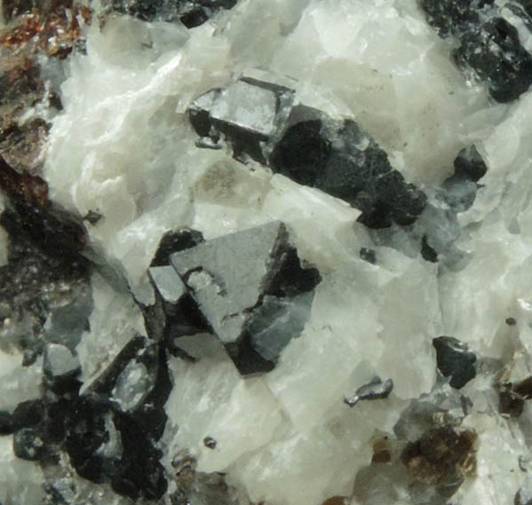 Spinel, Phlogopite in marble from Lime Crest Quarry (Limecrest), Sussex Mills, 4.5 km northwest of Sparta, Sussex County, New Jersey