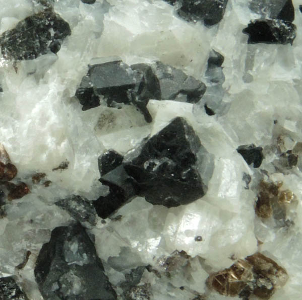 Spinel, Phlogopite in marble from Lime Crest Quarry (Limecrest), Sussex Mills, 4.5 km northwest of Sparta, Sussex County, New Jersey