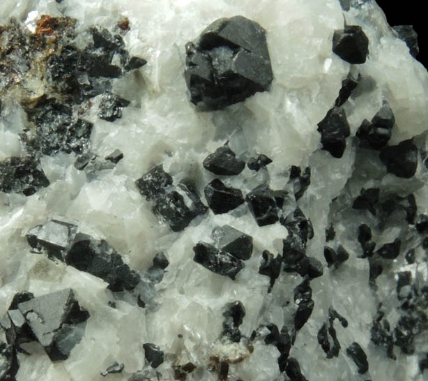 Spinel, Phlogopite in marble from Lime Crest Quarry (Limecrest), Sussex Mills, 4.5 km northwest of Sparta, Sussex County, New Jersey