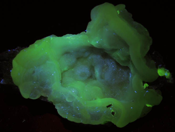 Quartz var. Chalcedony (fluorescent) from Yankee Dog Claim, Hidalgo County, New Mexico