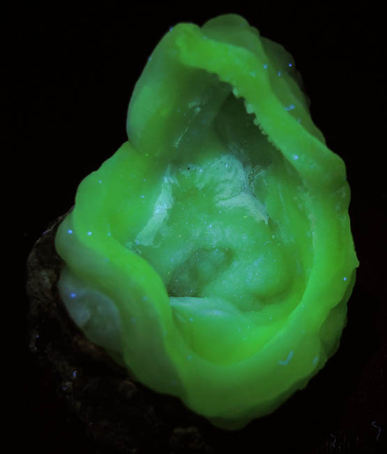 Quartz var. Chalcedony (fluorescent) from Yankee Dog Claim, Hidalgo County, New Mexico