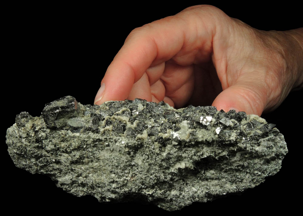 Magnetite with minor Pyrite from Laurel Hill (Snake Hill) Quarry, Secaucus, Hudson County, New Jersey