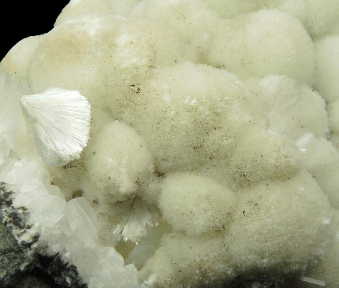 Pectolite with Prehnite from Upper New Street Quarry, Paterson, Passaic County, New Jersey