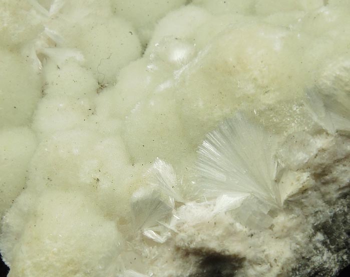 Pectolite with Prehnite from Upper New Street Quarry, Paterson, Passaic County, New Jersey