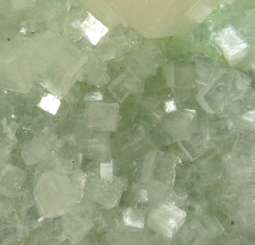 Hydroxyapophyllite-(K) (formerly apophyllite-(KOH)) on Prehnite from Fairfax Quarry, 6.4 km west of Centreville, Fairfax County, Virginia