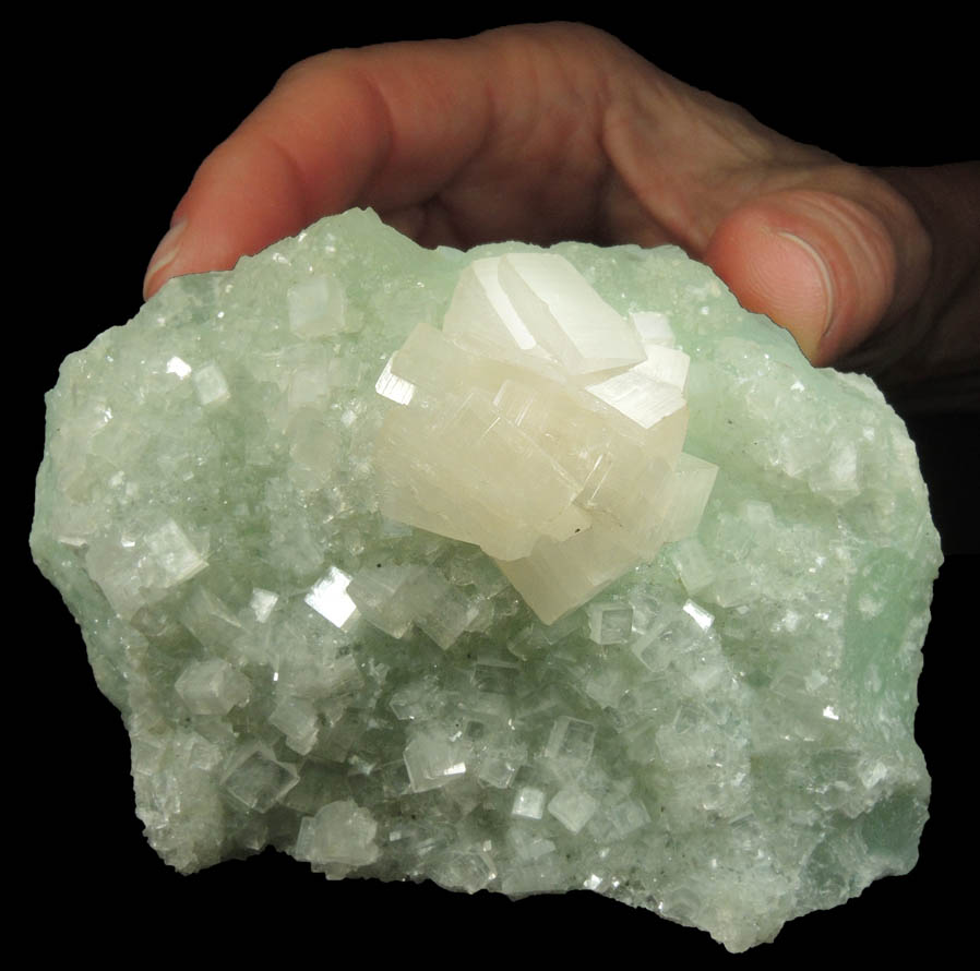 Hydroxyapophyllite-(K) (formerly apophyllite-(KOH)) on Prehnite from Fairfax Quarry, 6.4 km west of Centreville, Fairfax County, Virginia