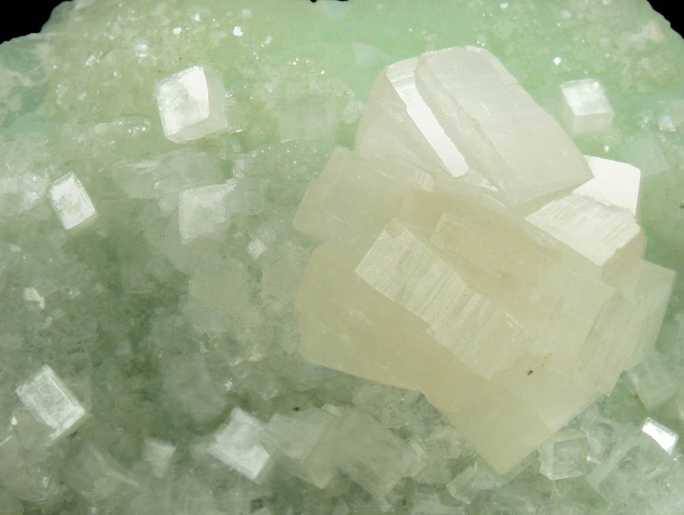 Hydroxyapophyllite-(K) (formerly apophyllite-(KOH)) on Prehnite from Fairfax Quarry, 6.4 km west of Centreville, Fairfax County, Virginia