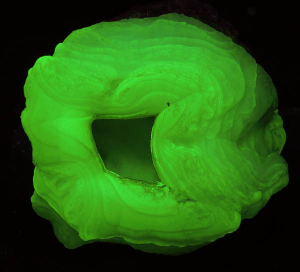 Quartz var. Chalcedony (fluorescent) from Yankee Dog Claim, Hidalgo County, New Mexico