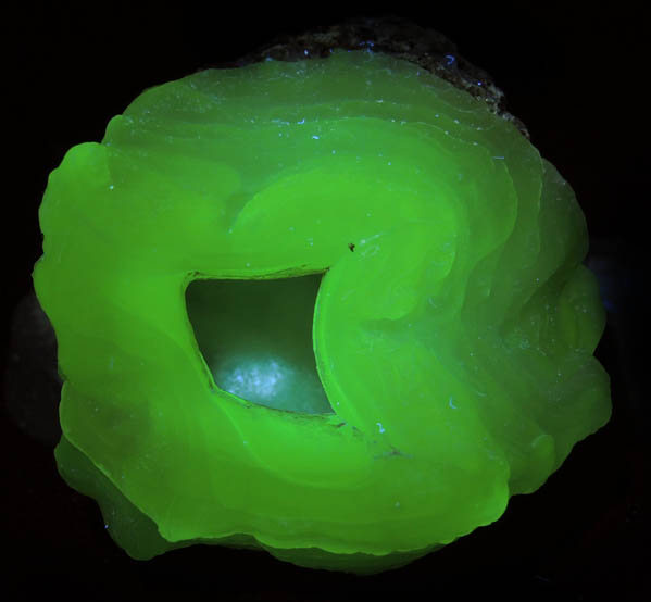 Quartz var. Chalcedony (fluorescent) from Yankee Dog Claim, Hidalgo County, New Mexico