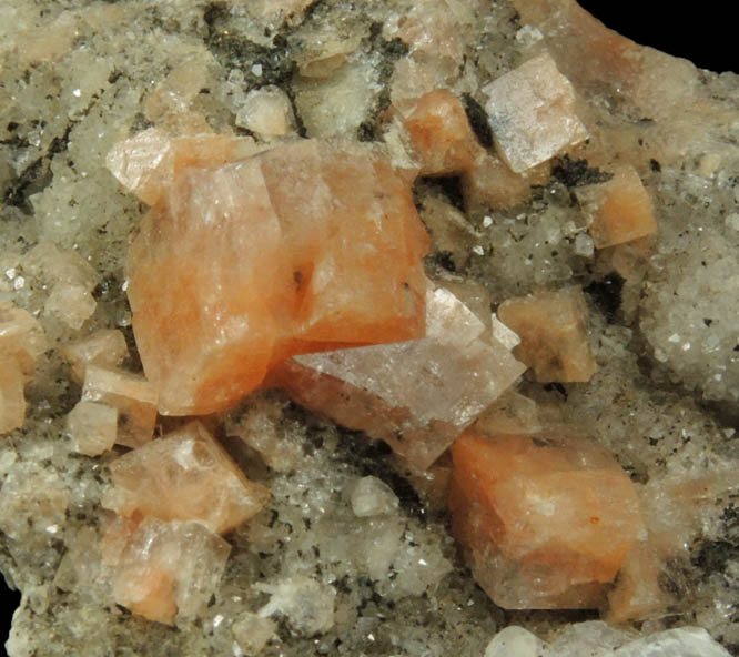 Chabazite, Calcite, Quartz, Goethite-Chamosite from Upper New Street Quarry, Paterson, Passaic County, New Jersey