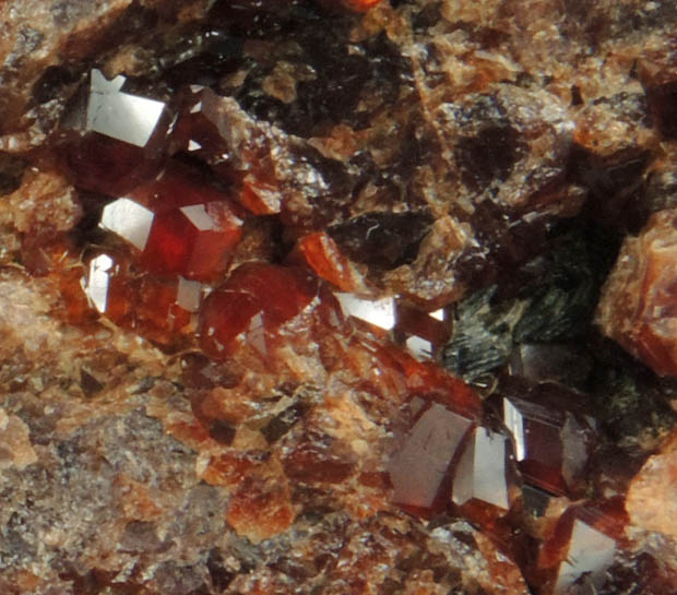 Grossular Garnet with minor Clinochlore from Passo del Faiallo, Urbe, Savona, Liguria, Italy