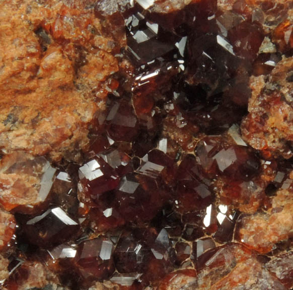 Grossular Garnet with minor Clinochlore from Passo del Faiallo, Urbe, Savona, Liguria, Italy