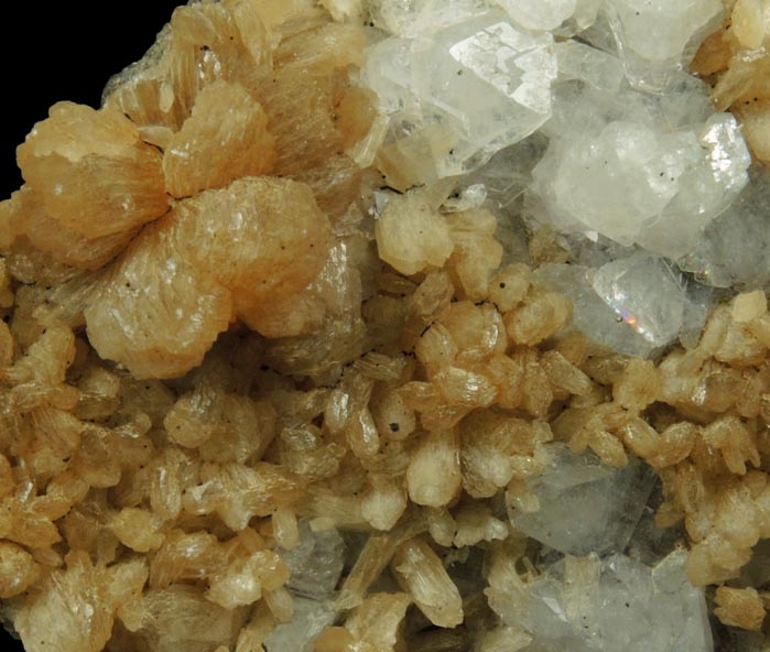 Apophyllite, Stilbite, Pyrite, Goethite from Laurel Hill (Snake Hill) Quarry, Secaucus, Hudson County, New Jersey