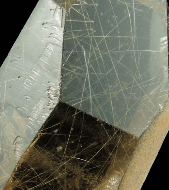 Quartz with Rutile inclusions (Rutilated Quartz) from Ibitiara, Bahia, Brazil