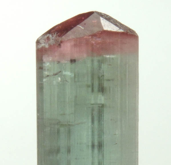 Elbaite Tourmaline from Pederneira Mine, Sao Jose da Safira, Minas Gerais, Brazil