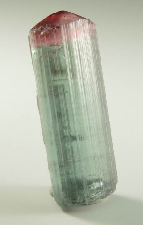 Elbaite Tourmaline from Pederneira Mine, Sao Jose da Safira, Minas Gerais, Brazil