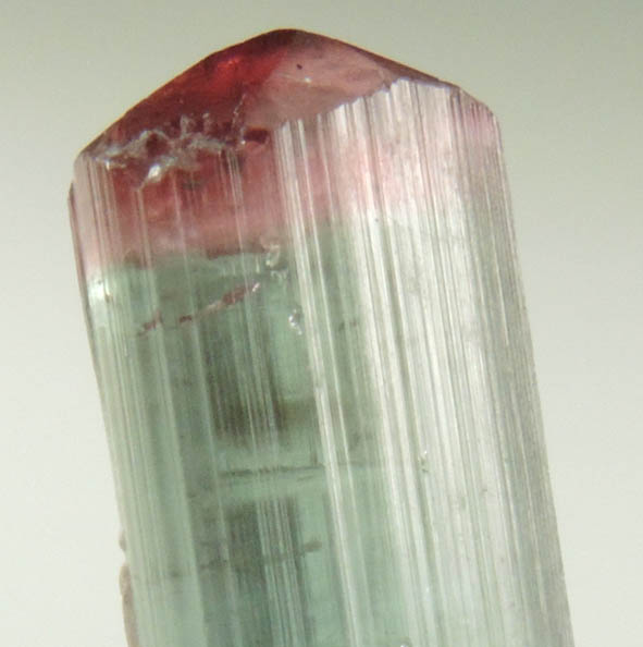 Elbaite Tourmaline from Pederneira Mine, Sao Jose da Safira, Minas Gerais, Brazil