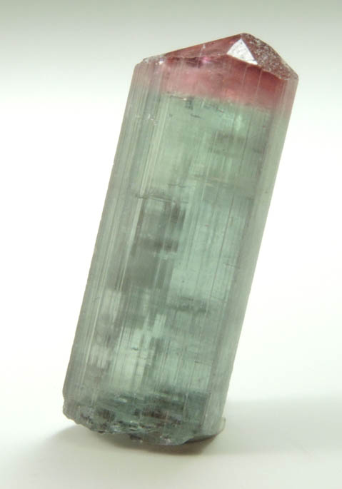 Elbaite Tourmaline from Pederneira Mine, Sao Jose da Safira, Minas Gerais, Brazil