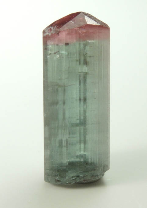 Elbaite Tourmaline from Pederneira Mine, Sao Jose da Safira, Minas Gerais, Brazil