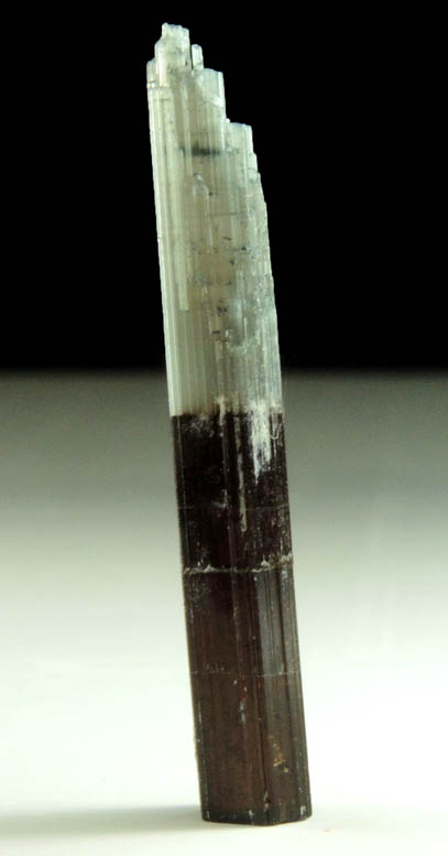 Dravite Tourmaline from Mwajanga, southeast of Mirerani, Simanjiro District, Manyara, Tanzania