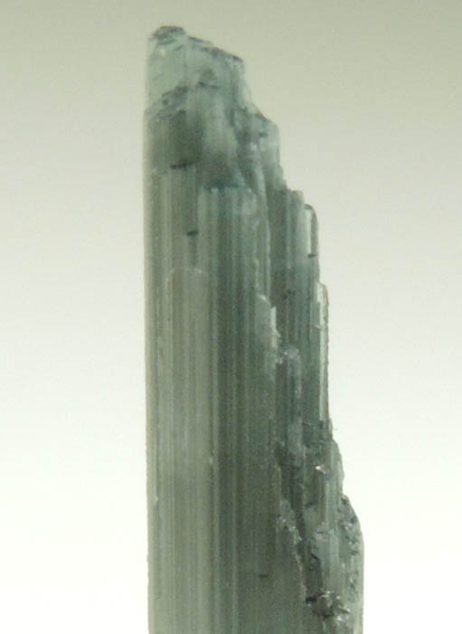 Dravite Tourmaline from Mwajanga, southeast of Mirerani, Simanjiro District, Manyara, Tanzania