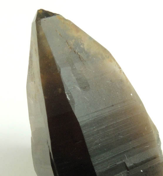 Quartz var. Smoky Quartz from Lake George District, Park County, Colorado