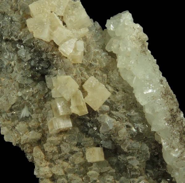 Calcite, Apophyllite, Pyrite on Prehnite pseudomorphs after Anhydrite from Millington Quarry, Bernards Township, Somerset County, New Jersey