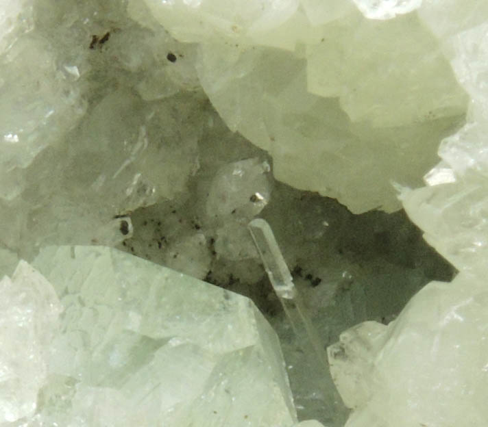 Natrolite in Datolite cavity from Millington Quarry, Bernards Township, Somerset County, New Jersey