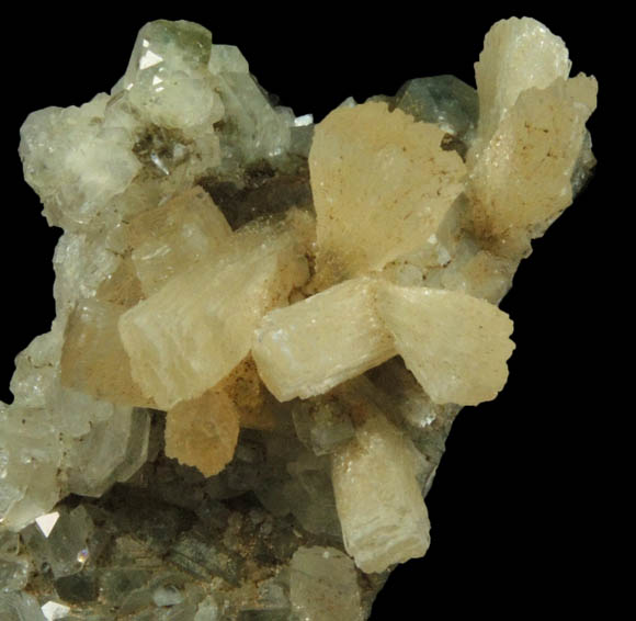 Stilbite on Apophyllite from Millington Quarry, Bernards Township, Somerset County, New Jersey