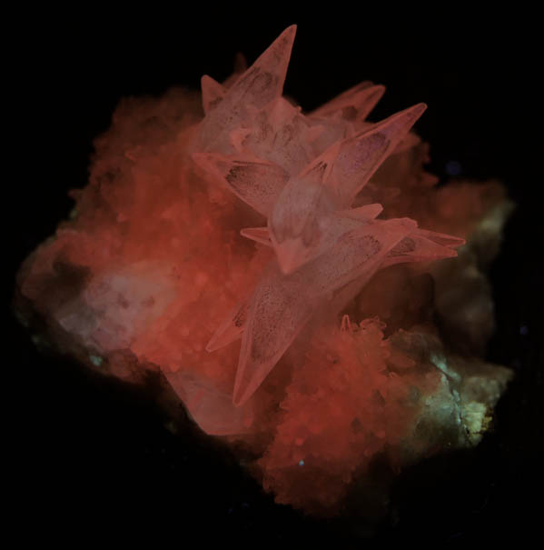 Photo below under longwave ultraviolet illumination of Calcite with phantom-growth zoning from Millington Quarry, Bernards Township, Somerset County, New Jersey Calcite with phantom-growth zoning from Millington Quarry, Bernards Township, Somerset County, New Jersey