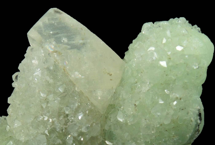 Calcite and Apophyllite on Prehnite from Millington Quarry, Bernards Township, Somerset County, New Jersey