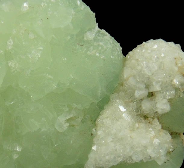 Apophyllite on Prehnite from Millington Quarry, Bernards Township, Somerset County, New Jersey