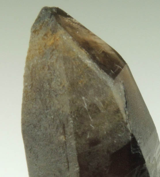 Quartz var. Smoky Quartz from Lake George District, Park County, Colorado