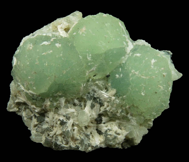 Laumontite on Prehnite from Upper New Street Quarry, Paterson, Passaic County, New Jersey