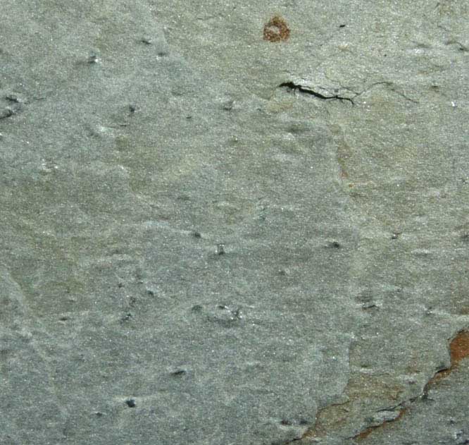 Garnet in phyllite (demonstrating differential weathering) from Raymond, Cumberland County, Maine