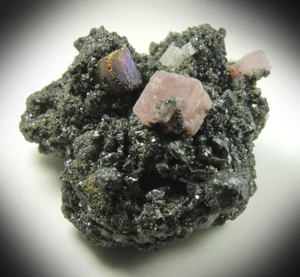 Rhodochrosite on Sphalerite with Pyrite from Eagle Mine, Gilman District, Eagle County, Colorado