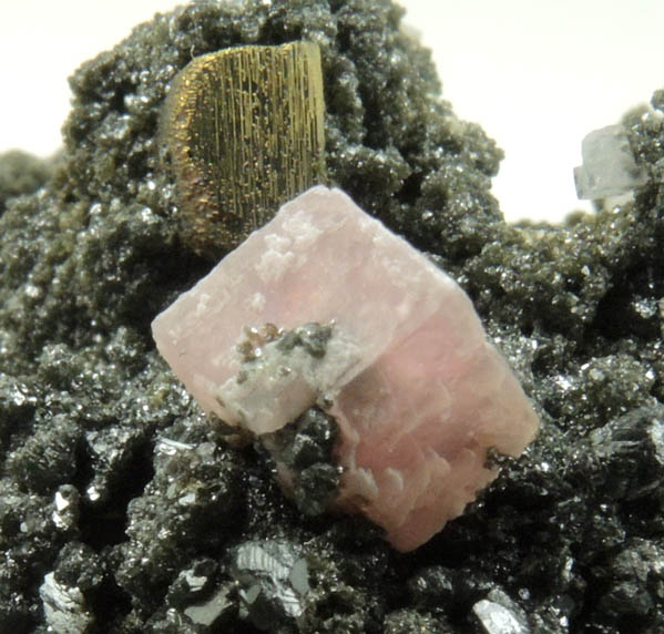 Rhodochrosite on Sphalerite with Pyrite from Eagle Mine, Gilman District, Eagle County, Colorado